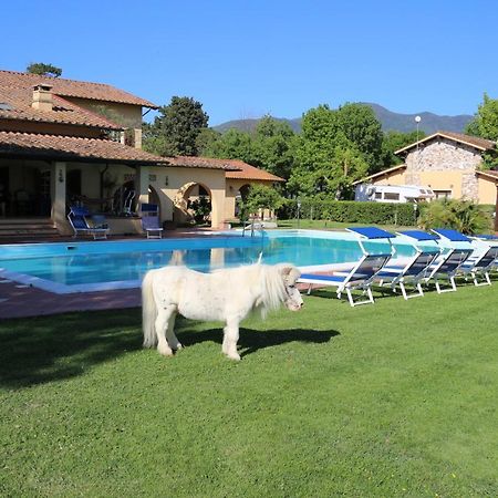 Podere San Paolo San Giuliano Terme Εξωτερικό φωτογραφία