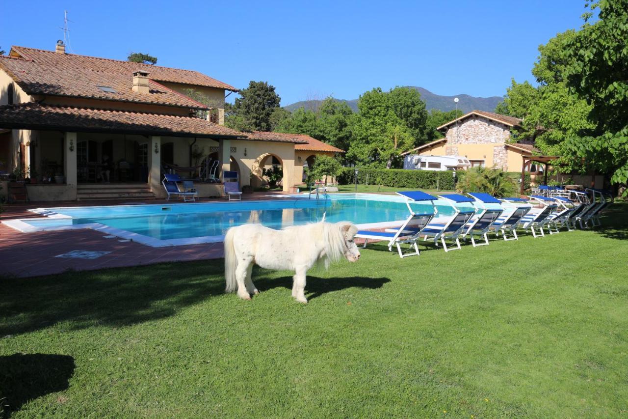 Podere San Paolo San Giuliano Terme Εξωτερικό φωτογραφία