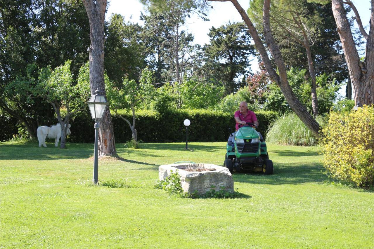 Podere San Paolo San Giuliano Terme Εξωτερικό φωτογραφία